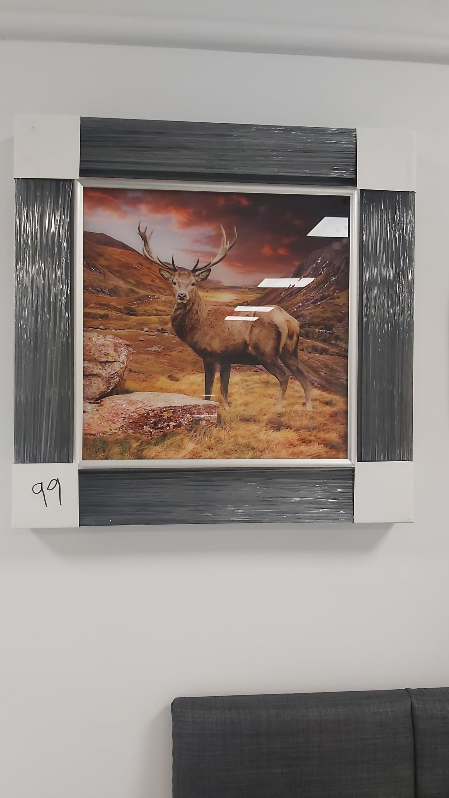 Wall Art Pictures (RH45) I Clearance